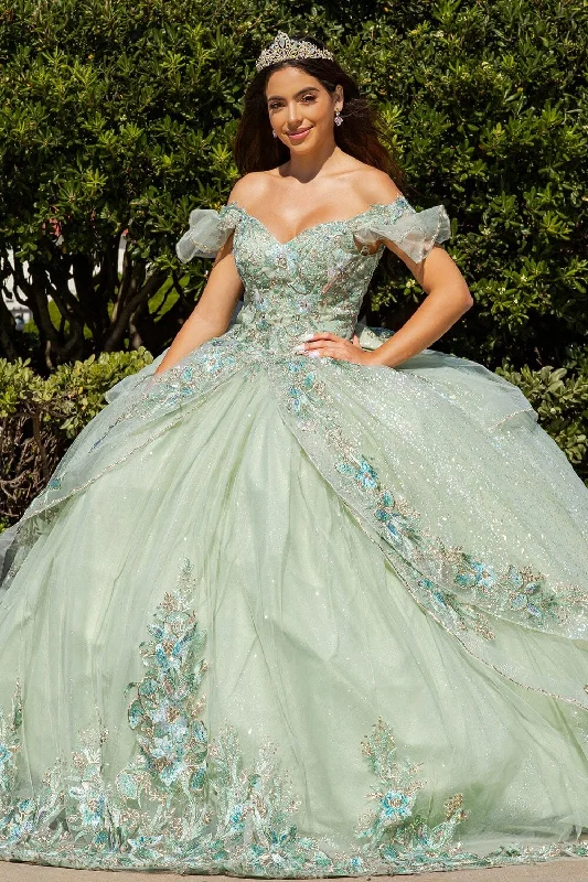 Discount Days Applique Off Shoulder Ball Gown by Cinderella Couture 8089J